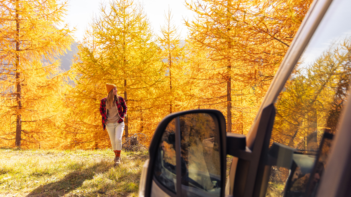 Hertz Webpage Desktop Size - 1230x692px - 1 driving-hertz