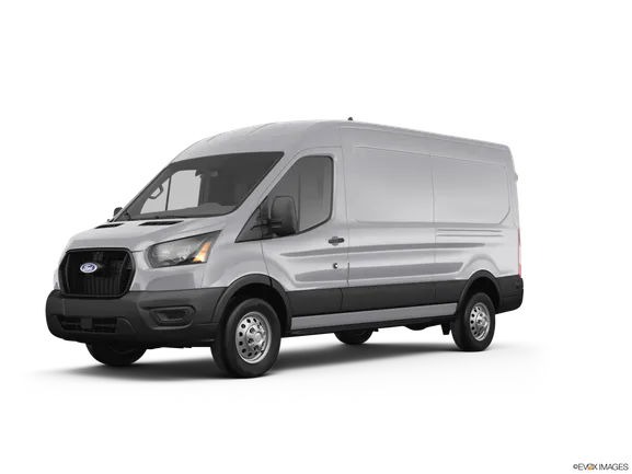 silver ford van