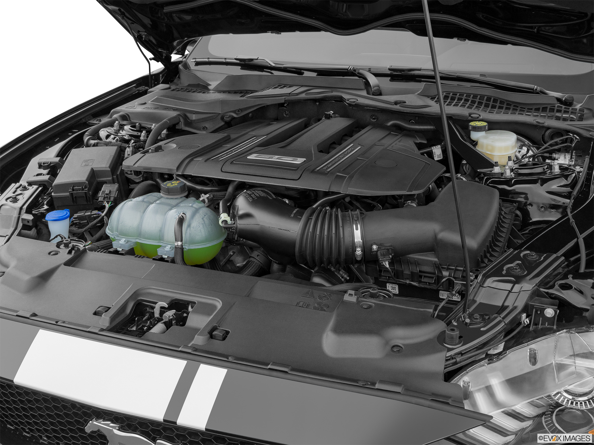 engine of ford mustang