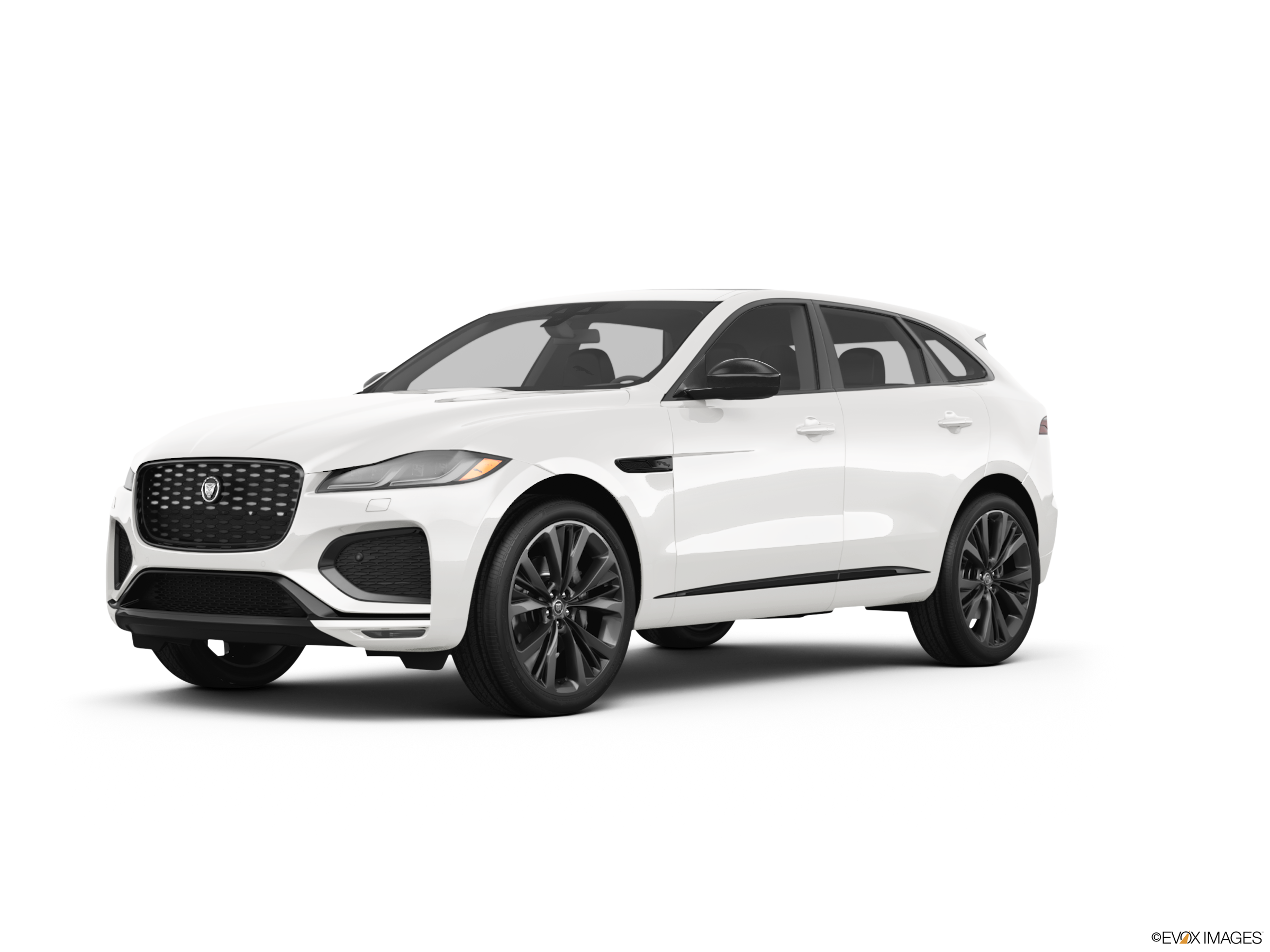 white jaguar f-space