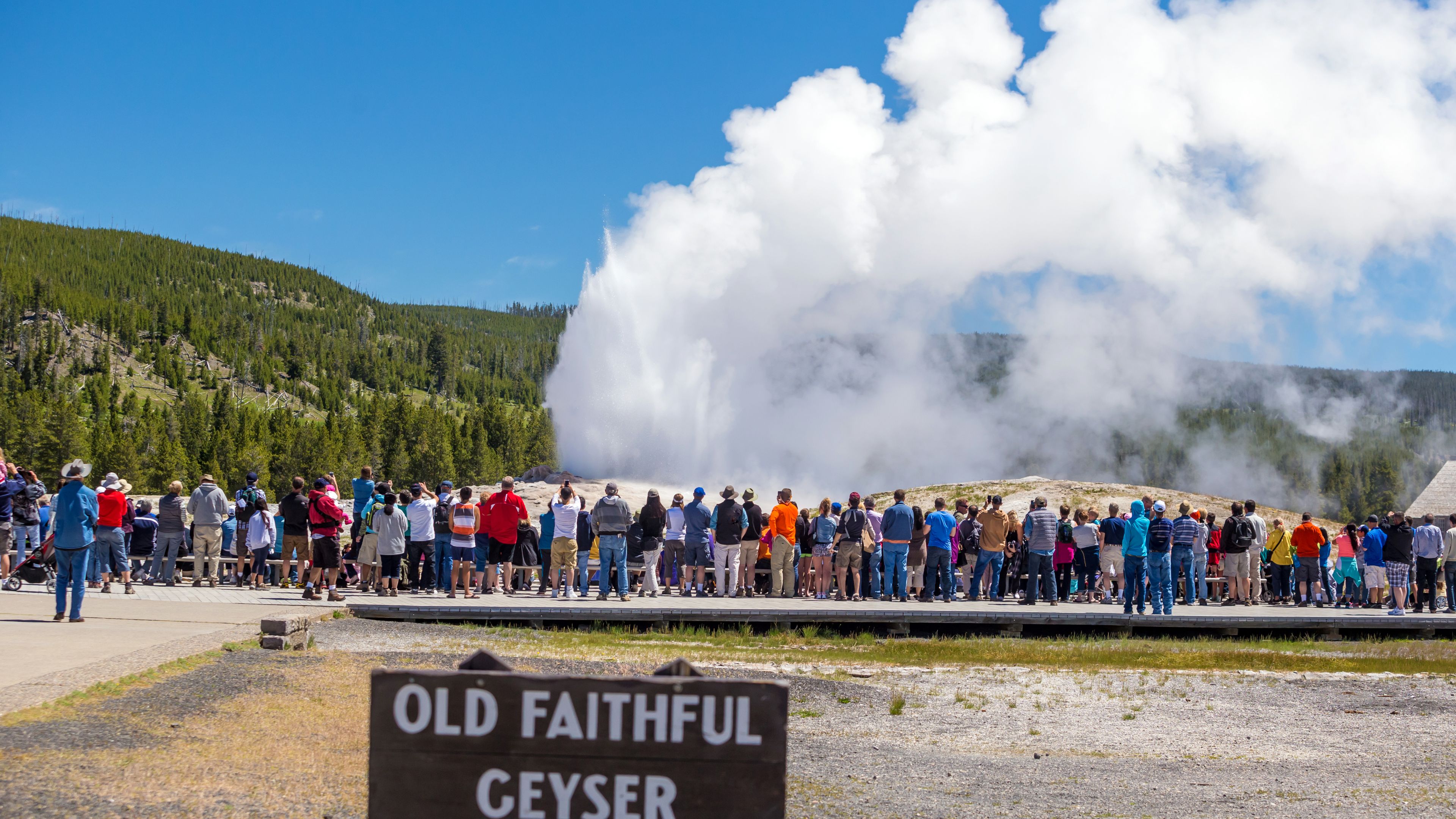 Yellowstone crowd