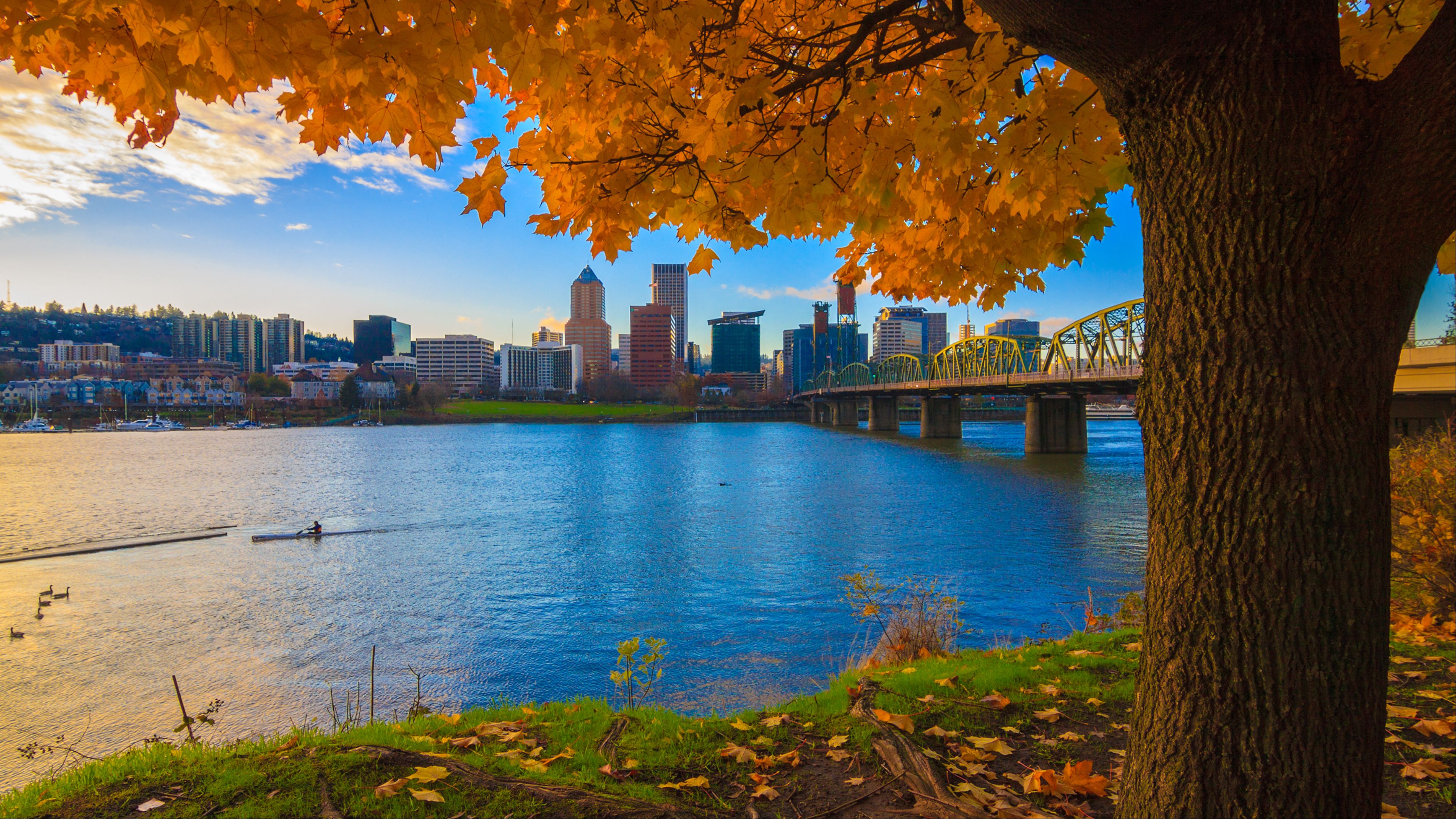 From the Mountains to the City: 6 Beautiful Spots to See in Portland, Oregon