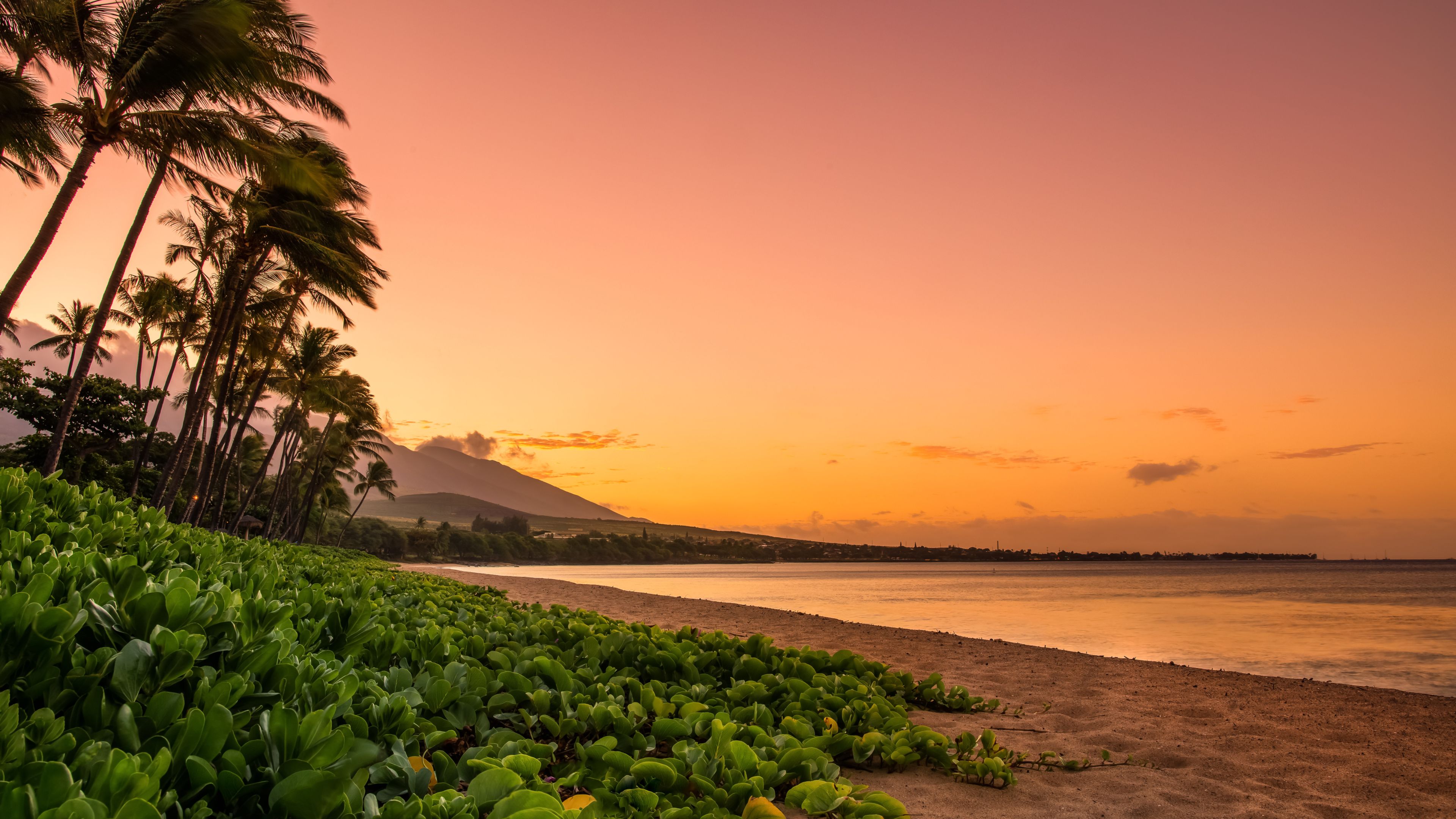 Maui