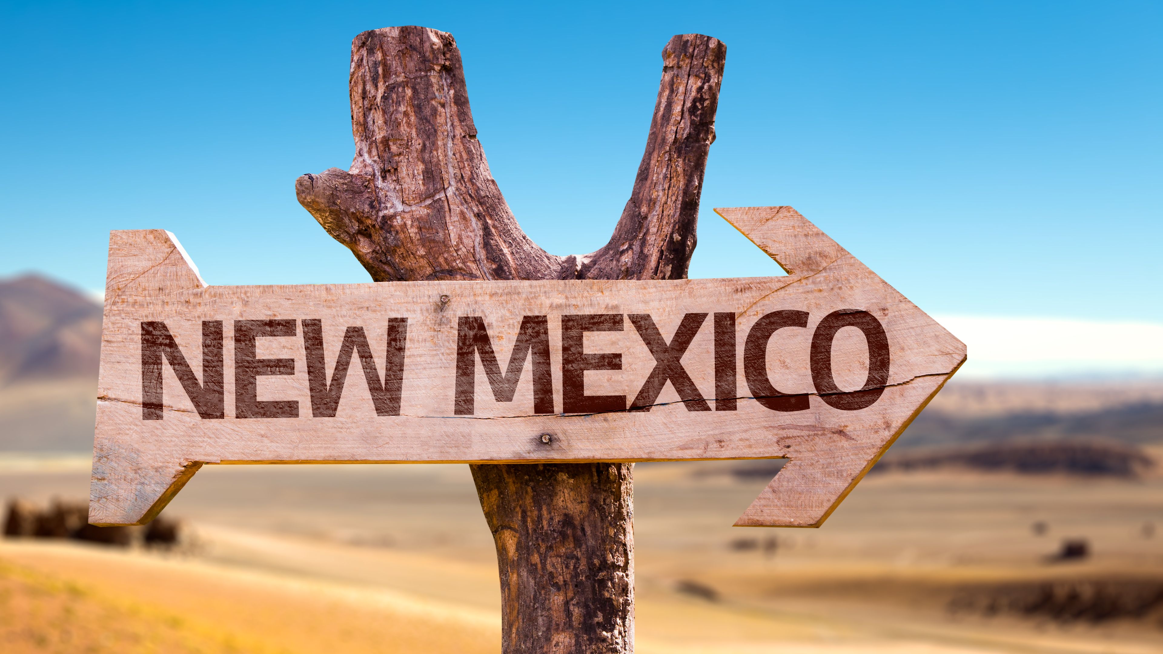 New Mexico 
