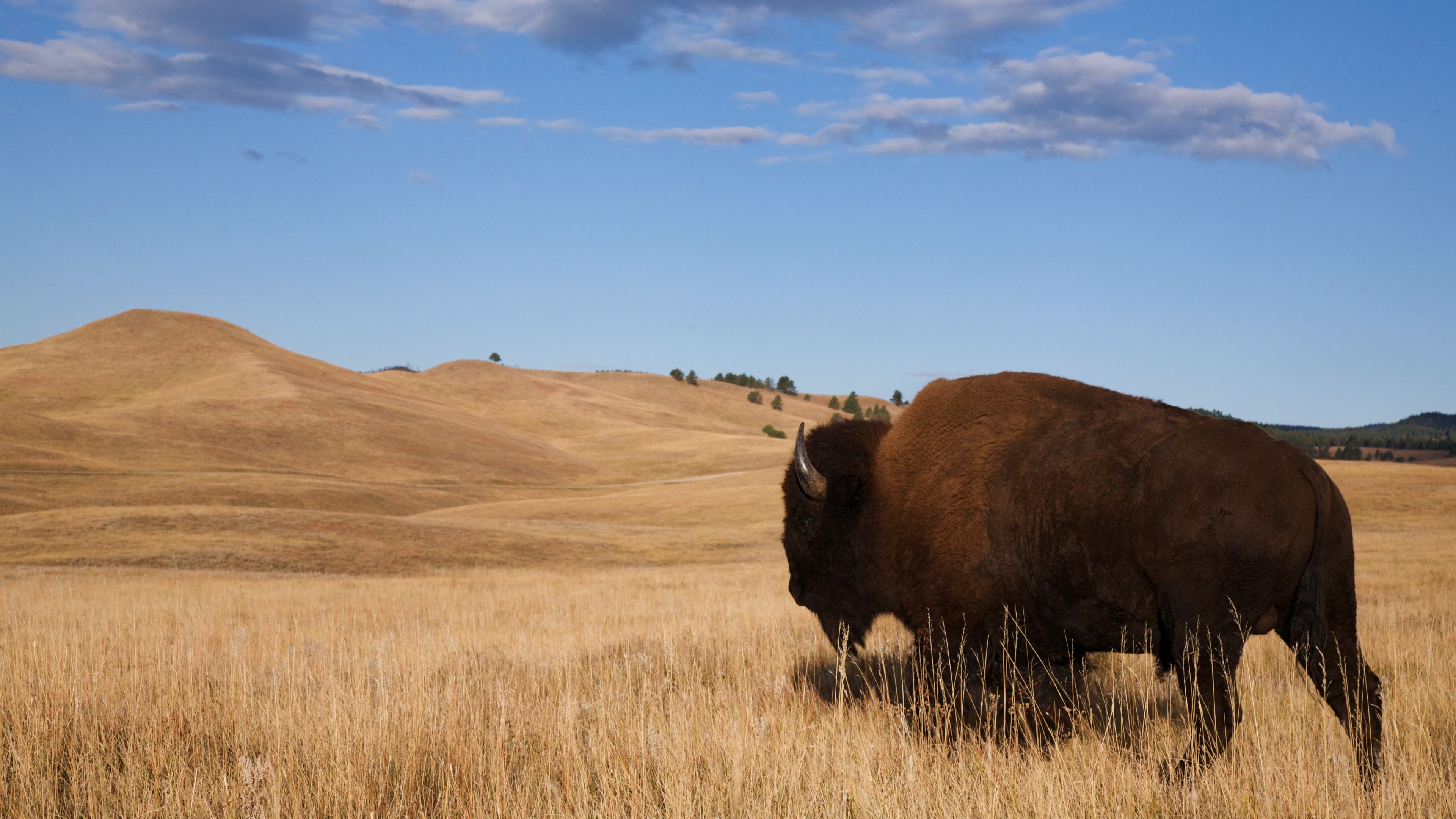 Ultimate Road Trip Planner Through the Dakotas
