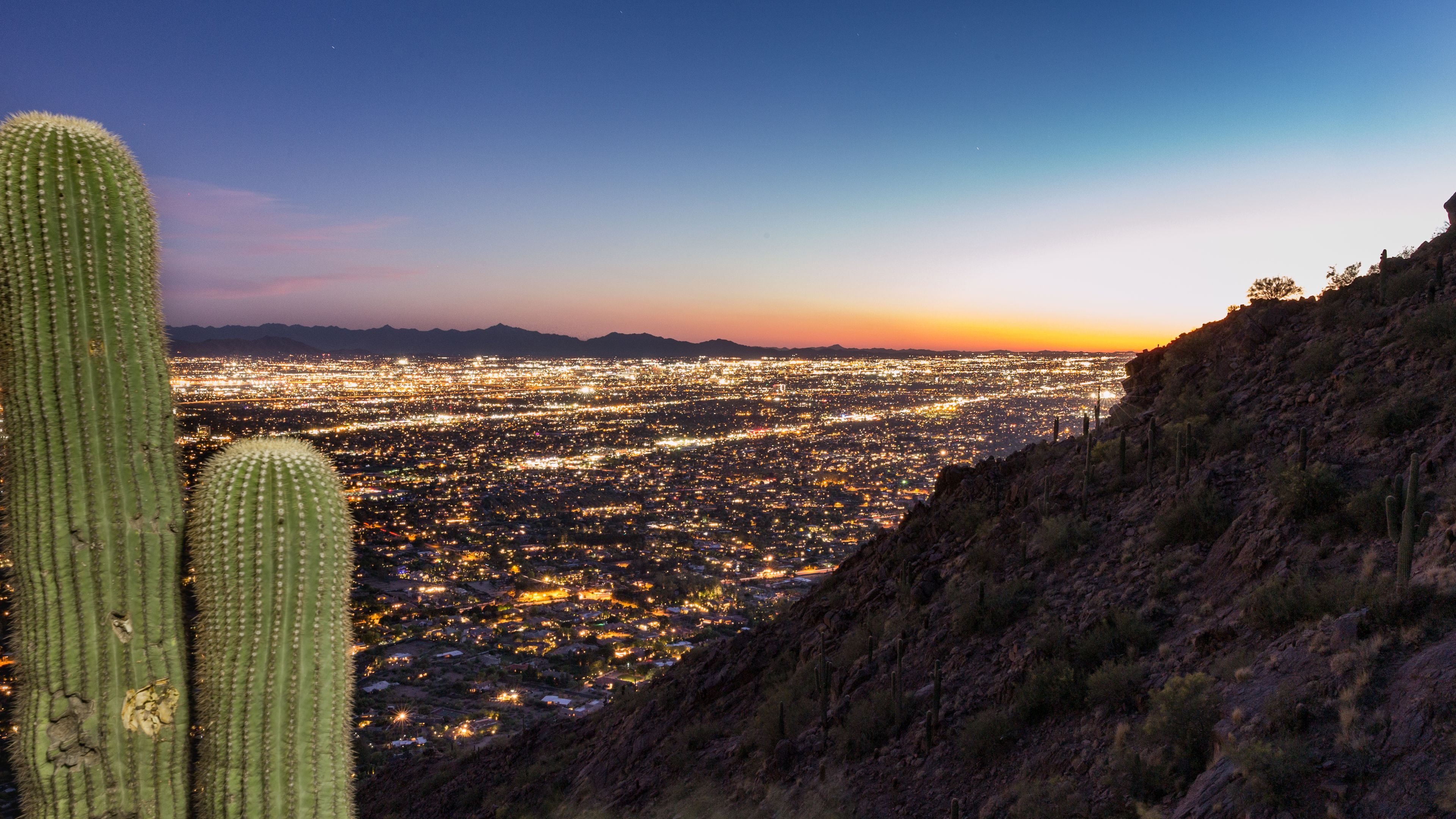 Phoenix