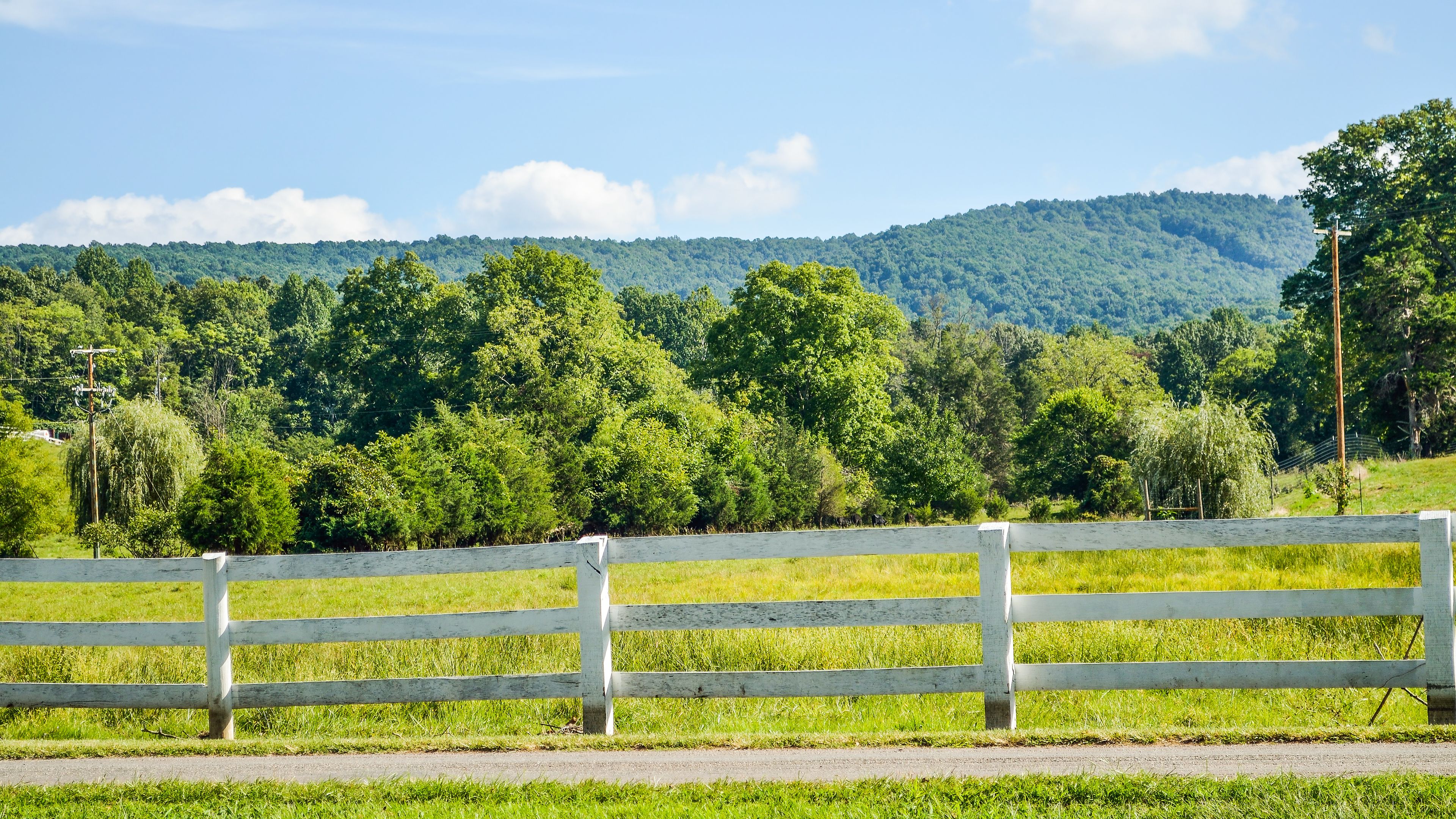 Small Town, Big Fun: A Weekender’s Guide to Abingdon, Virginia