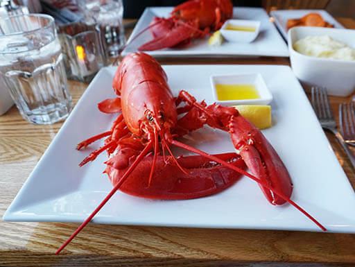 Maine lobster