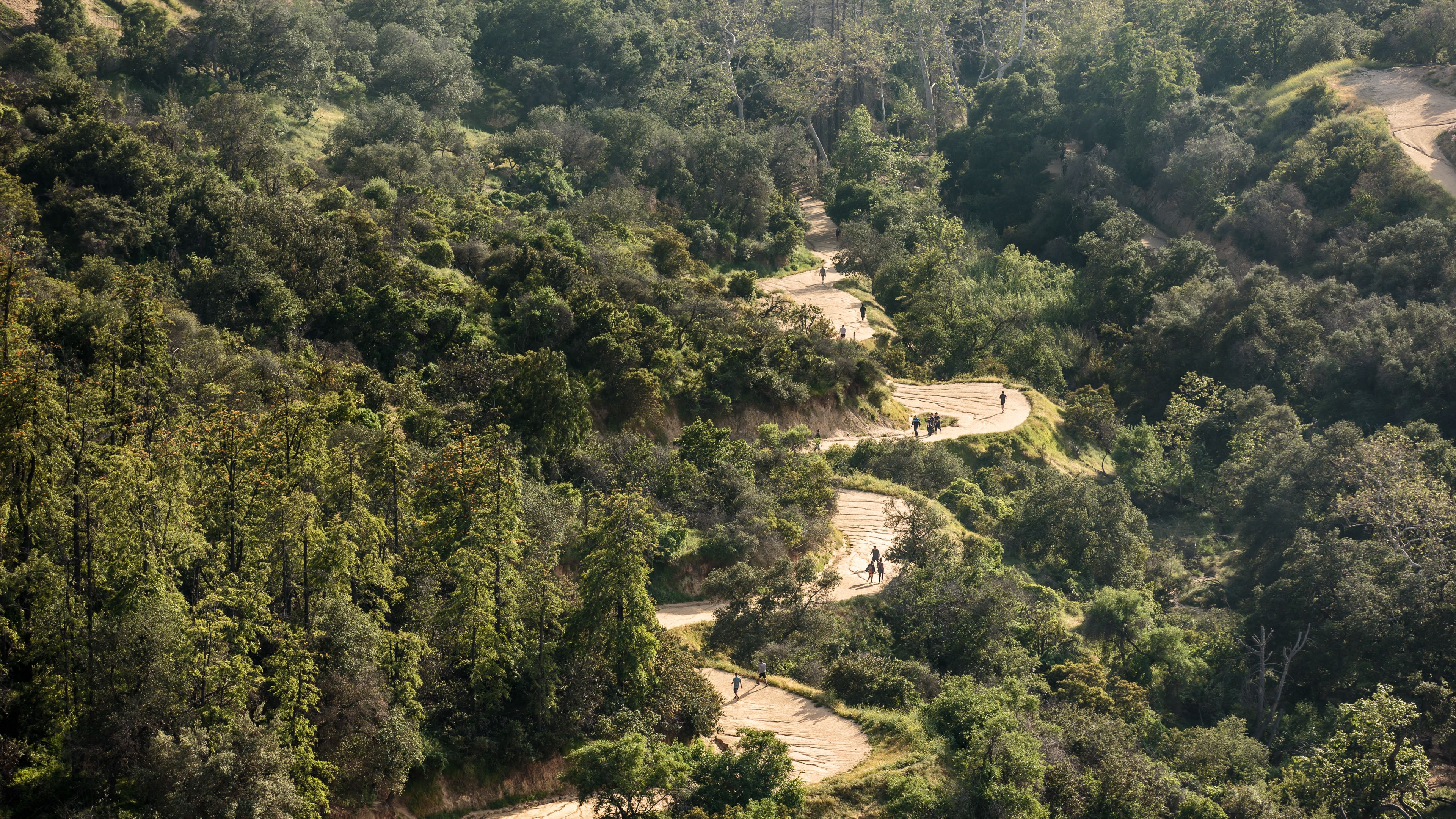 The Best Places to Go for a Run in Los Angeles