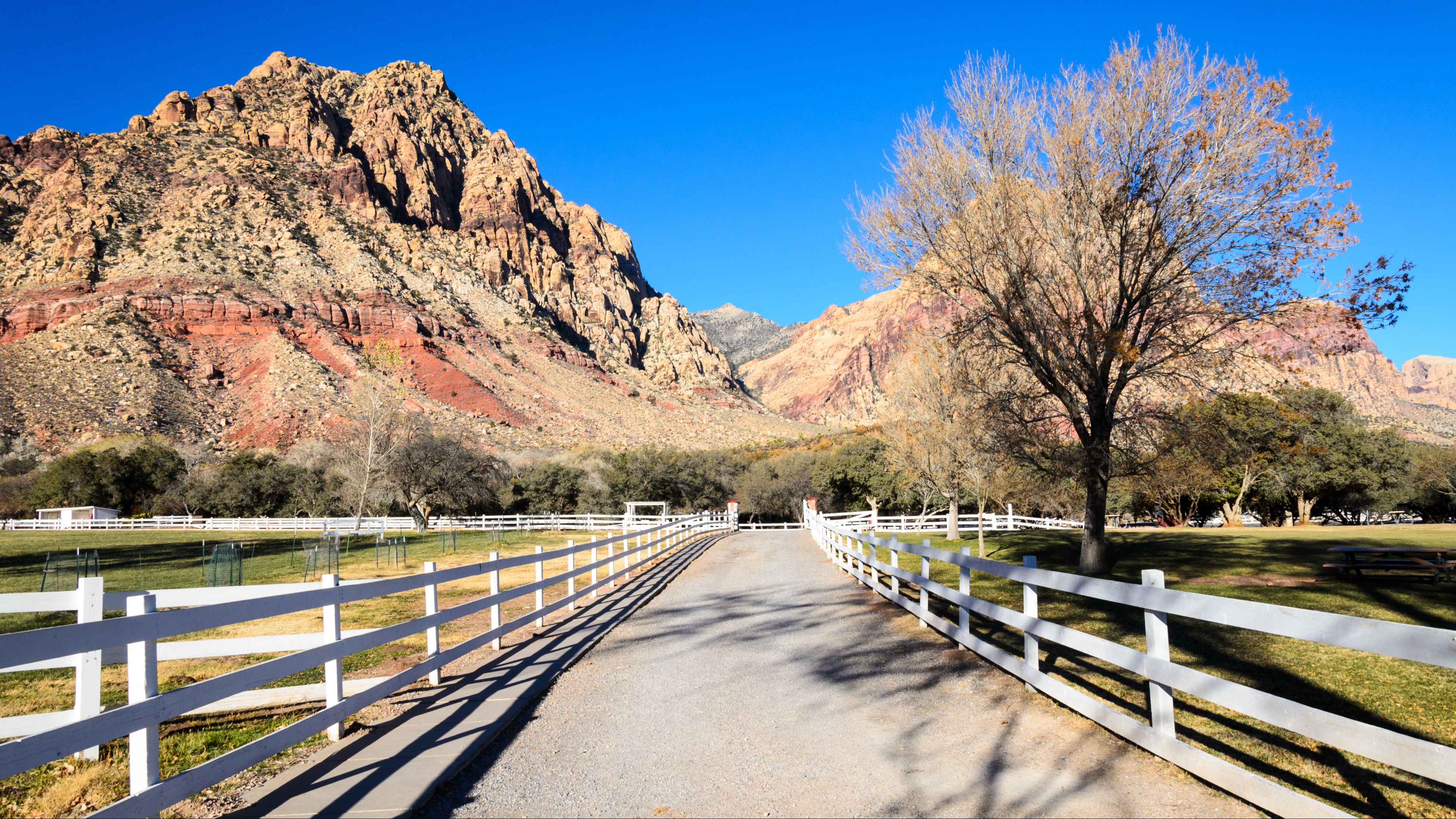 Best Things to Do in Las Vegas in the Summer