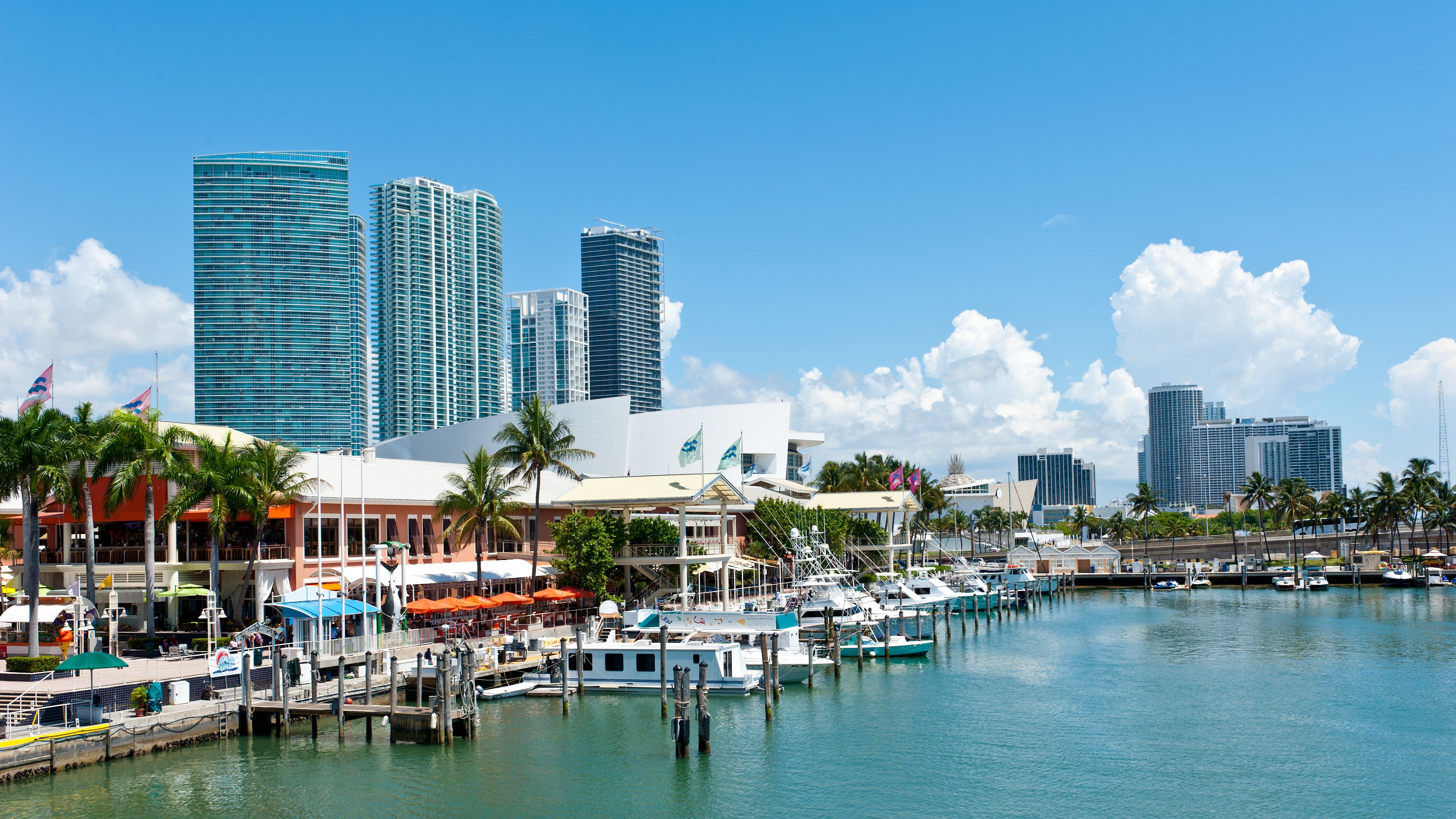 bayside-market
