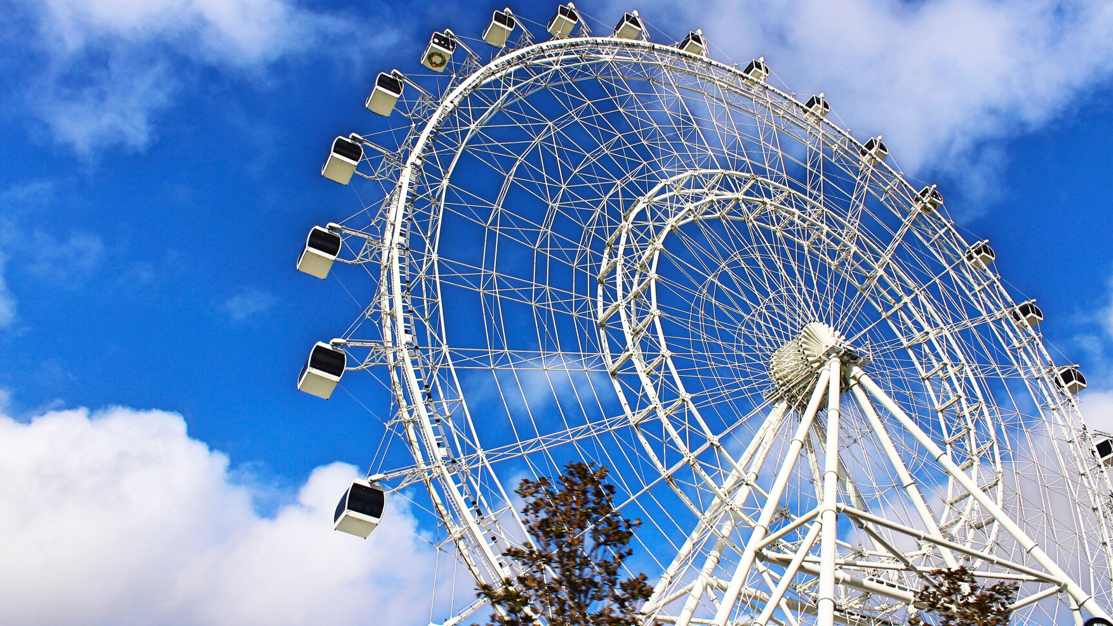 wheel of fortune in Orlando, Florida