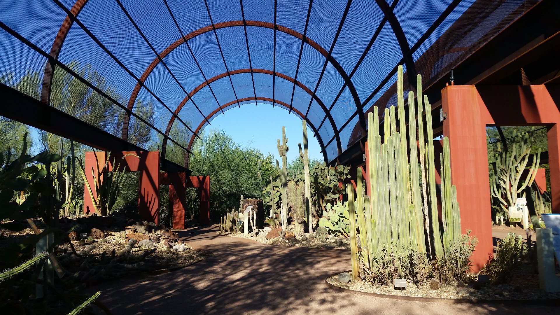 desert botanical garden