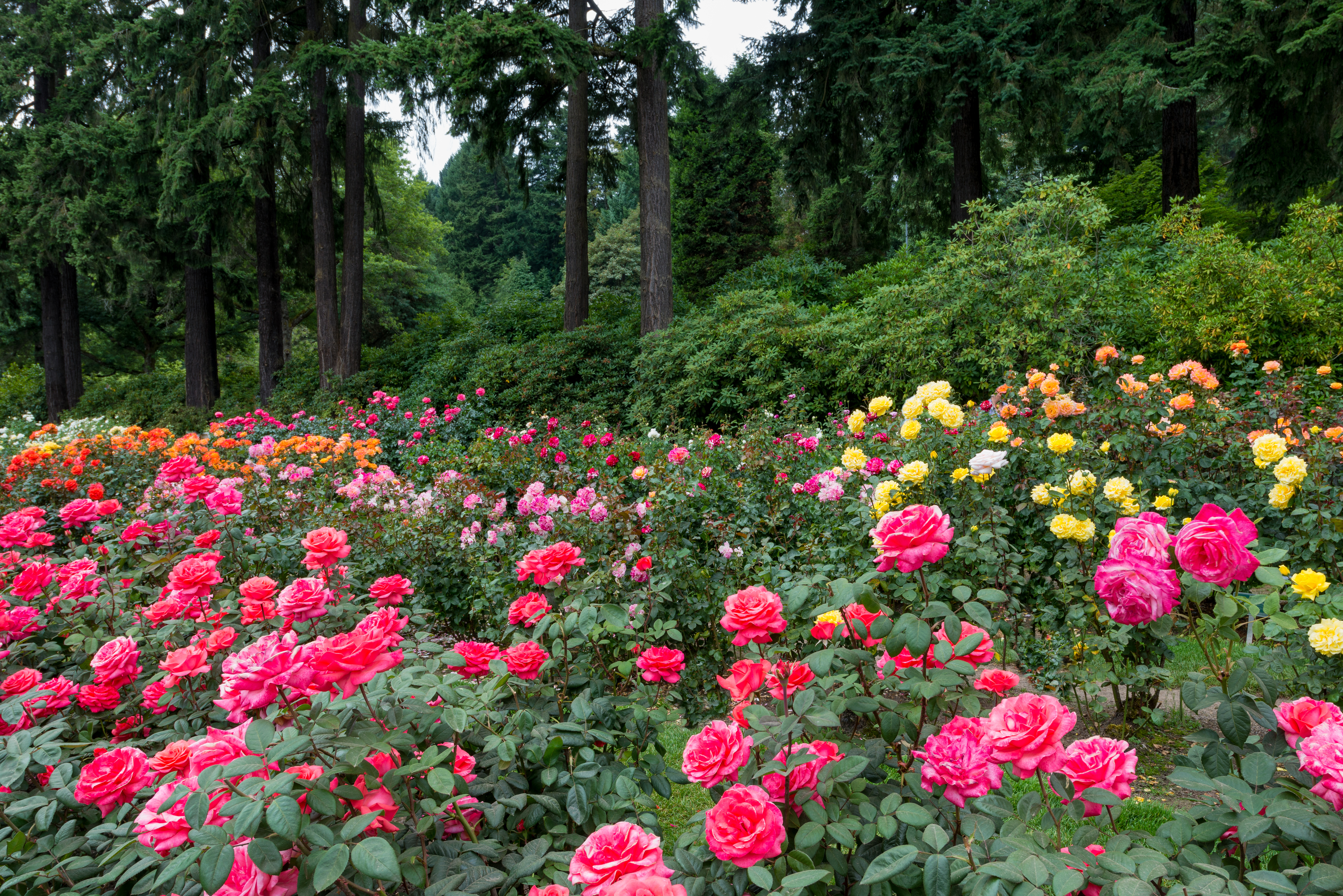 154609328 Huntington-Library
