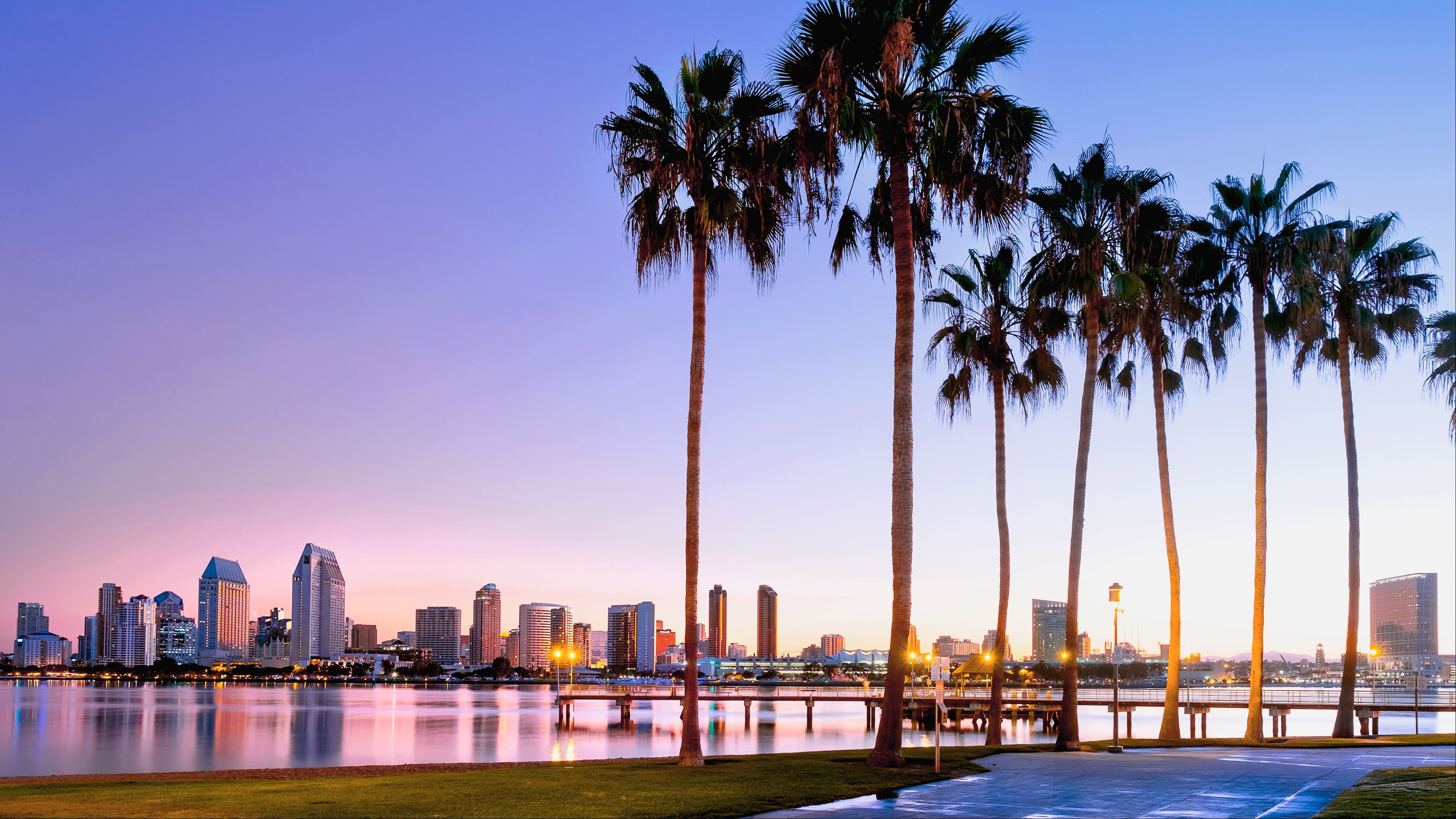 San Diego Sea and Palm Tree View