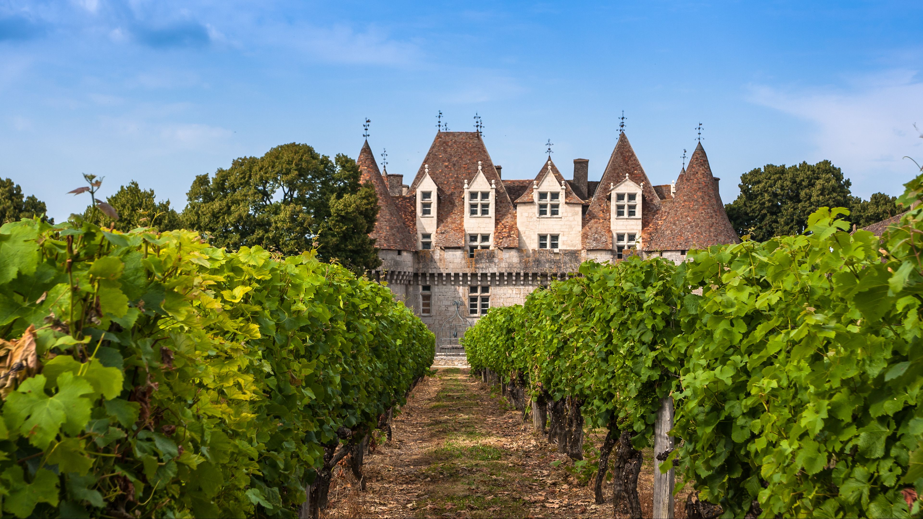 Bergerac Bergerac
