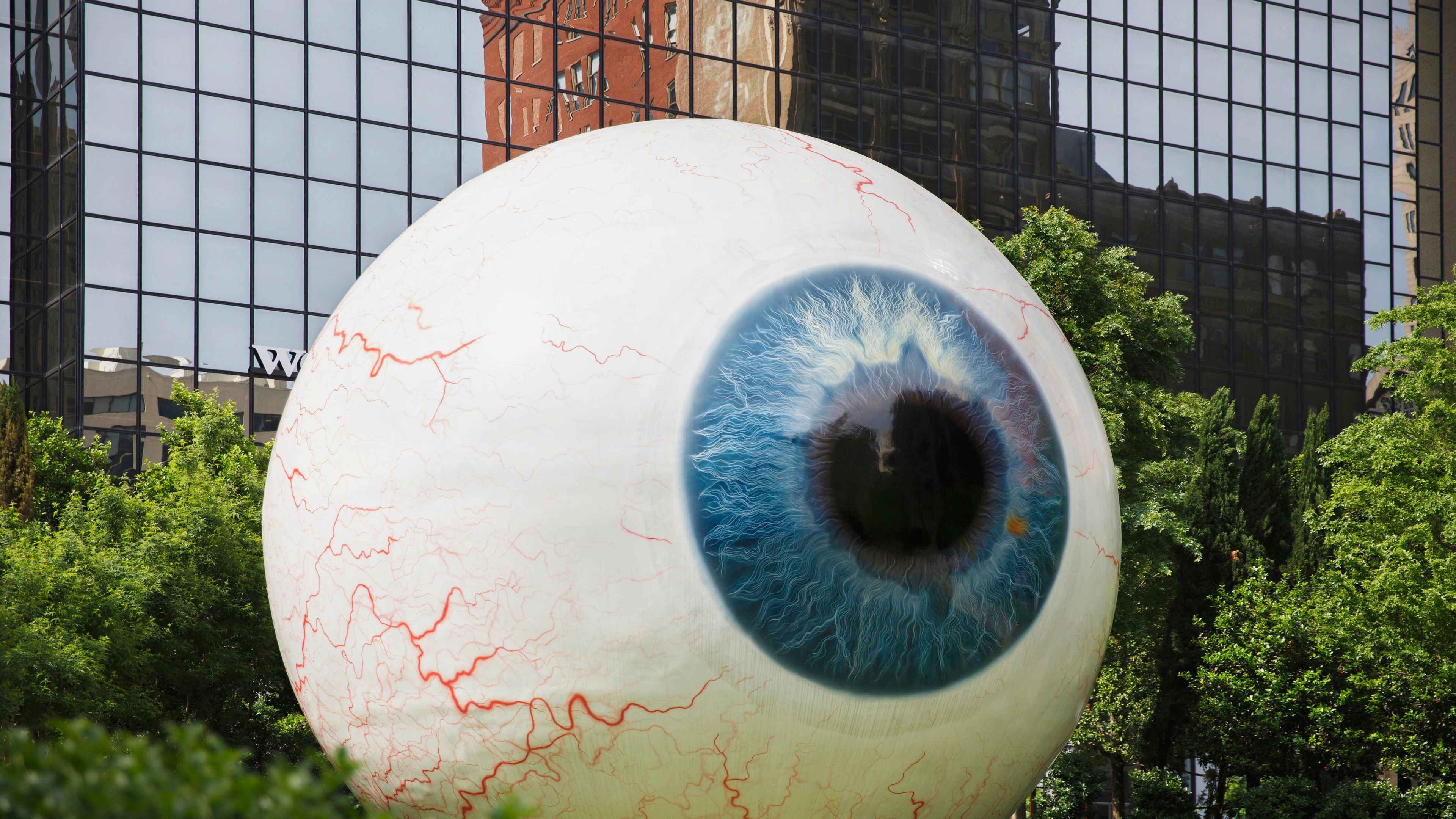 Dallas giant eye