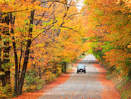 Mountain Adventure in Franconia Notch State Park
