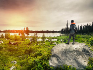 A Guide to Summer Attractions in Jackson Hole, Wyoming