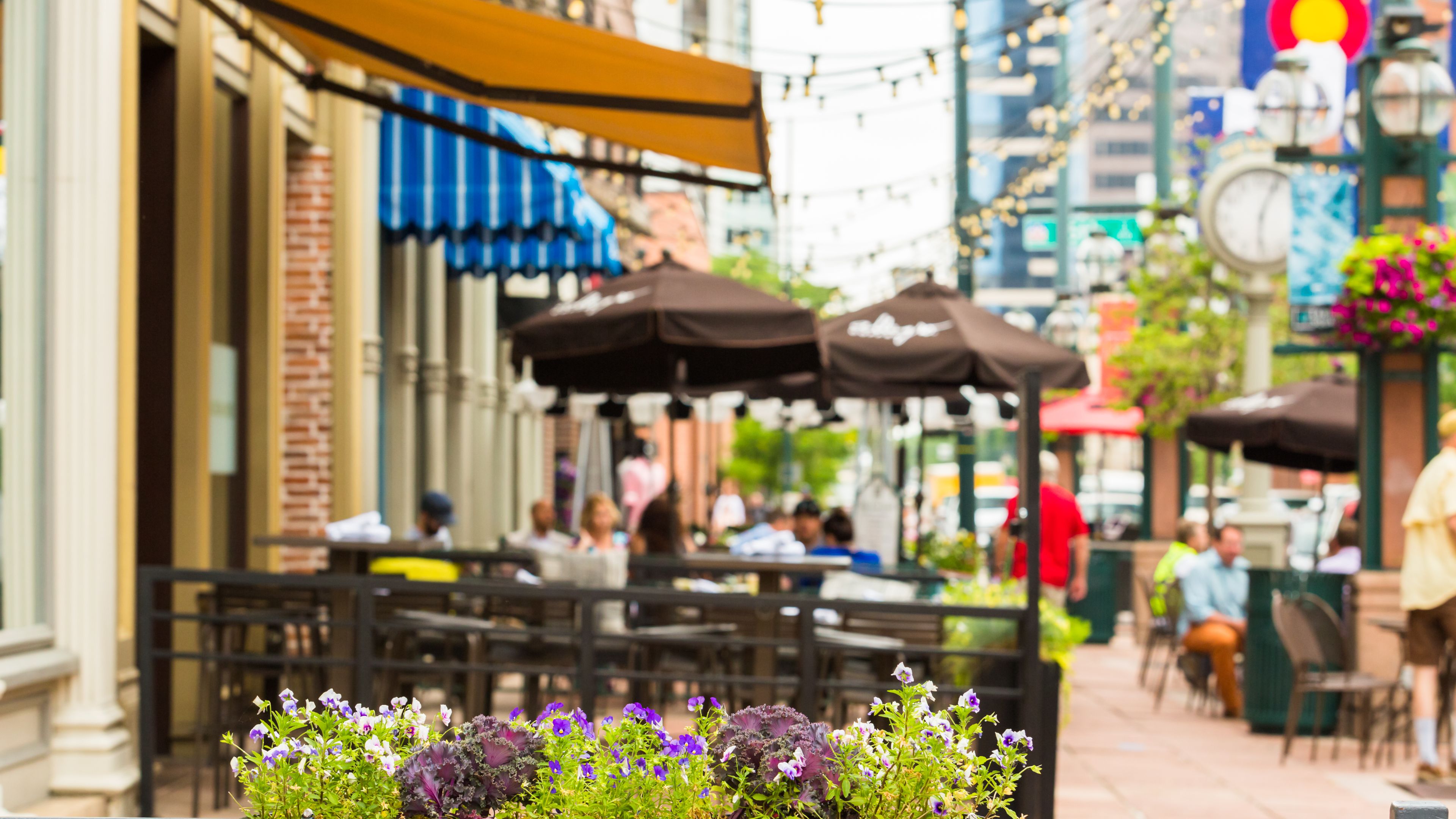 Where to Eat in Denver