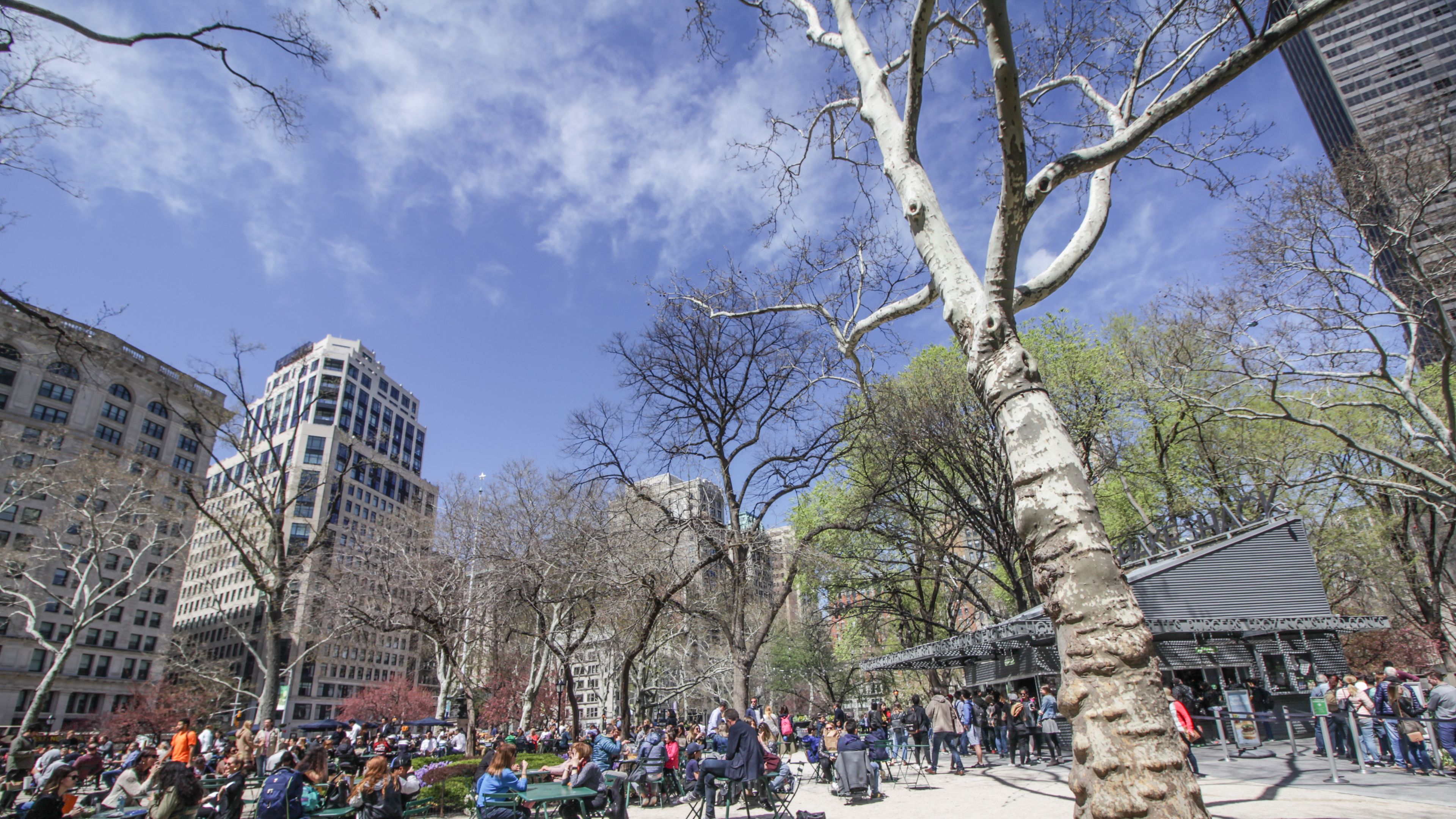 People eating in Madison Square Park