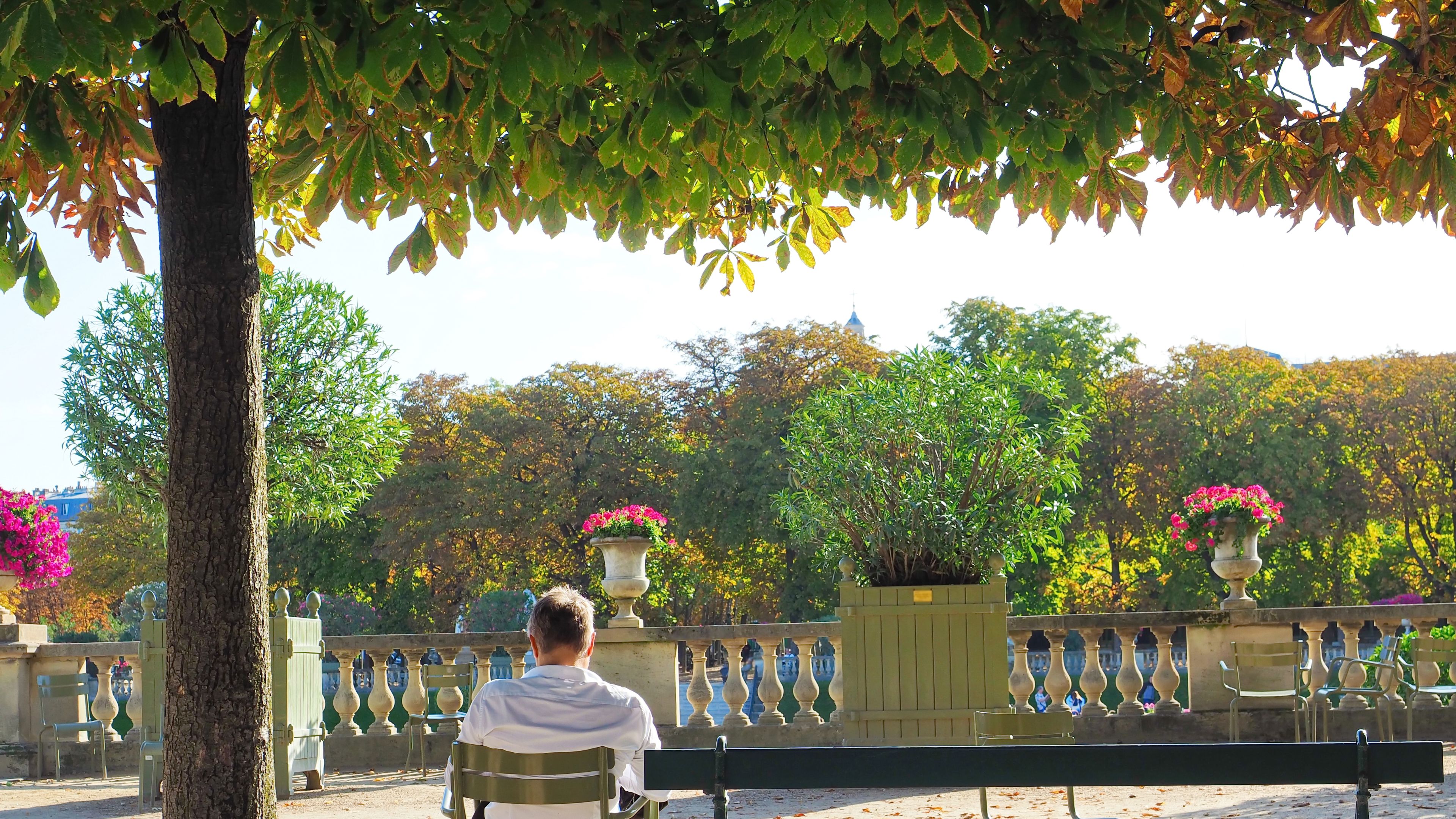 balustrade in Luxembourg gardens balustrade in Luxembourg gardens