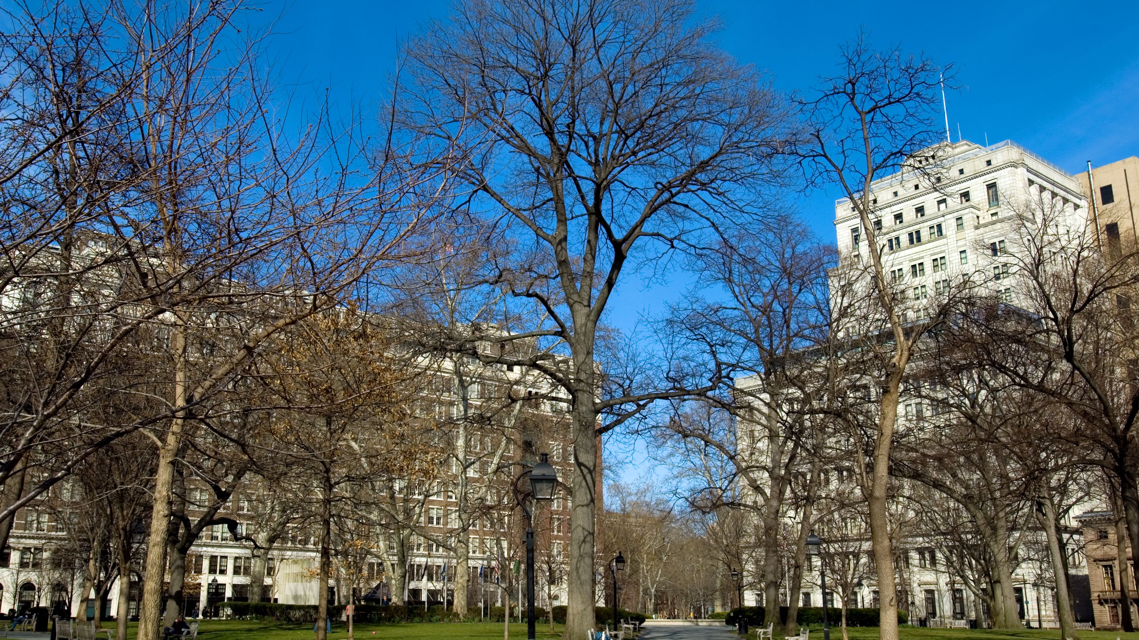 washington-square washington-square