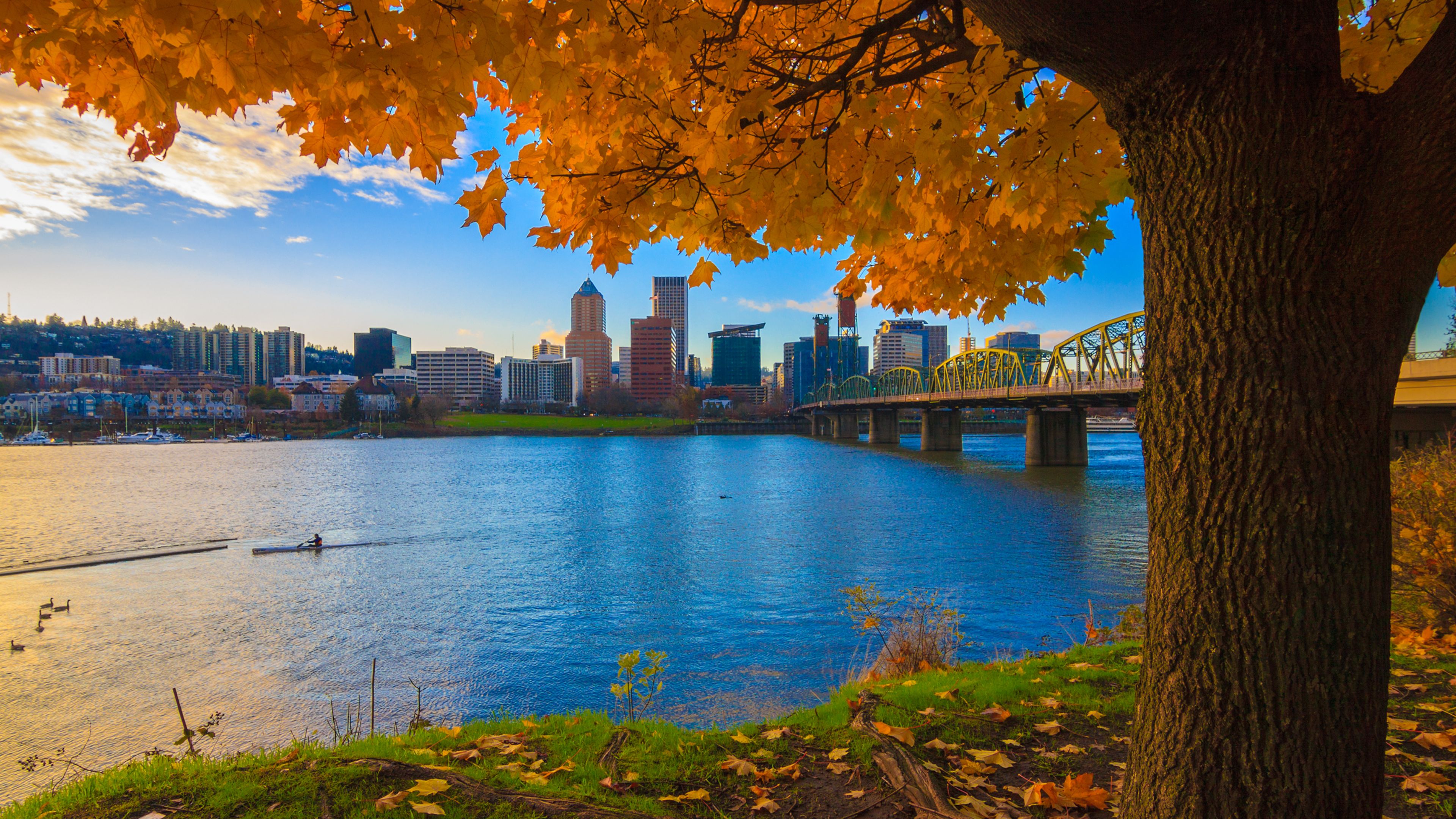 Portland's neighborhoods