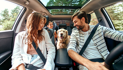 driving-hertz driving-hertz