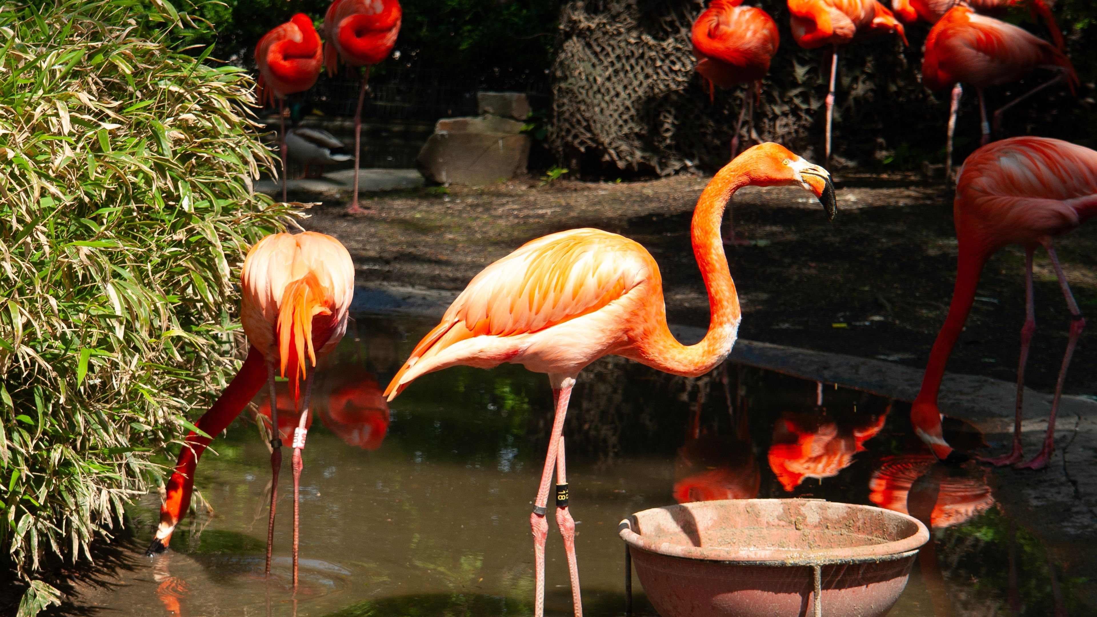 zoo miami
