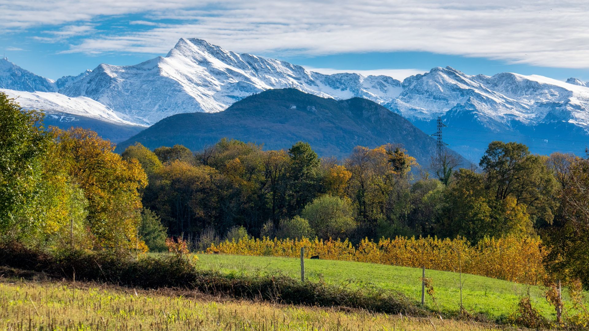 Pyrenees-mountain Pyrenees-mountain