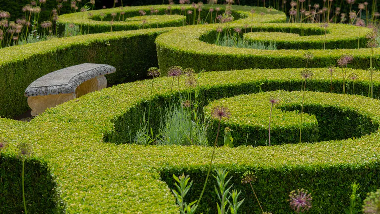 Maze at Houghton Hall