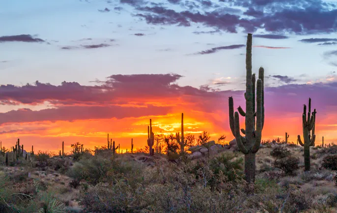 Phoenix, AZ