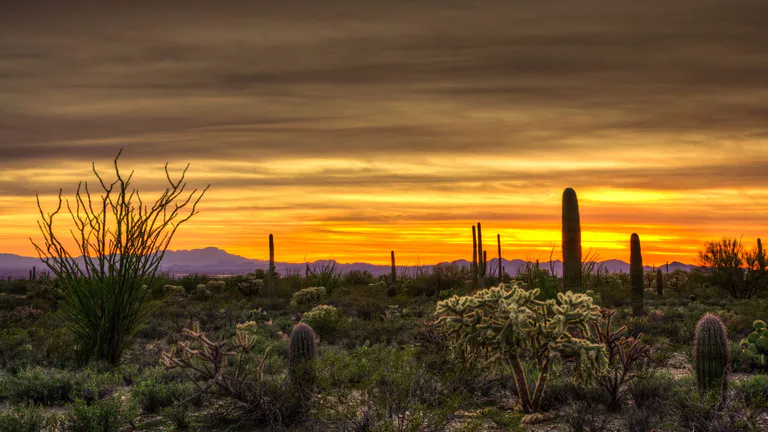 tuscon