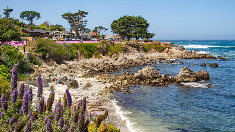 beach in monterey