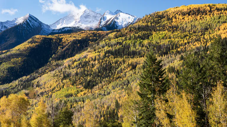 Forest and mountain view from Gunnison's West Elk Loop