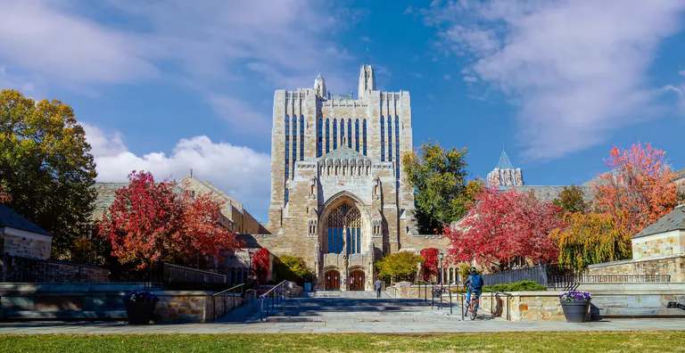 newhaven-yale