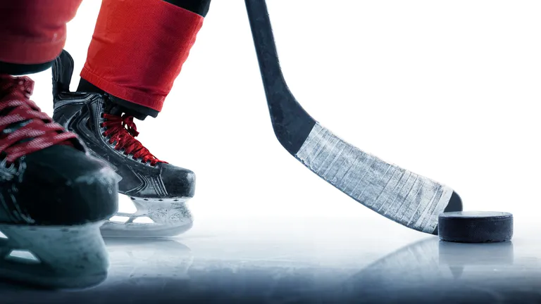 Florida_Panthers_IceDen