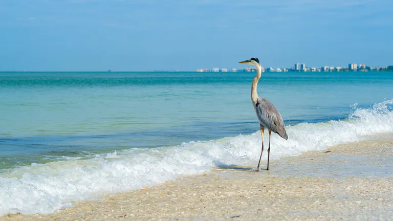 fort-myers-beach