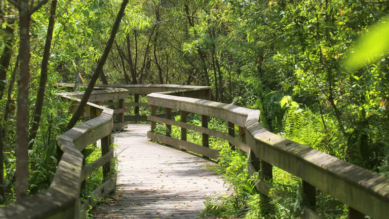 Mead Botanical Garden