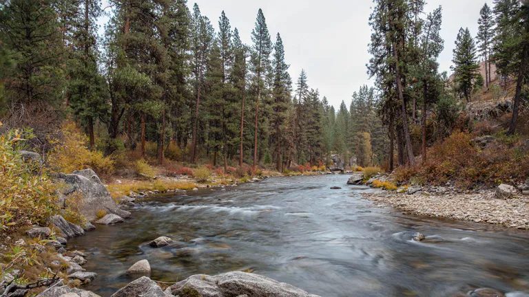 boise-national-forest