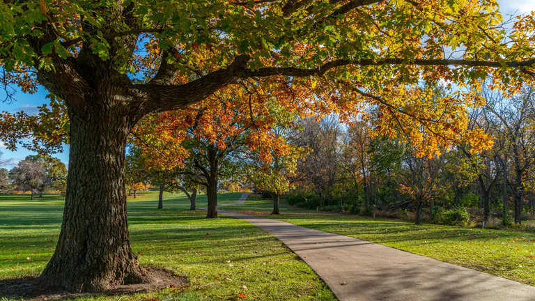 Sleepy Hollow Sports Park 