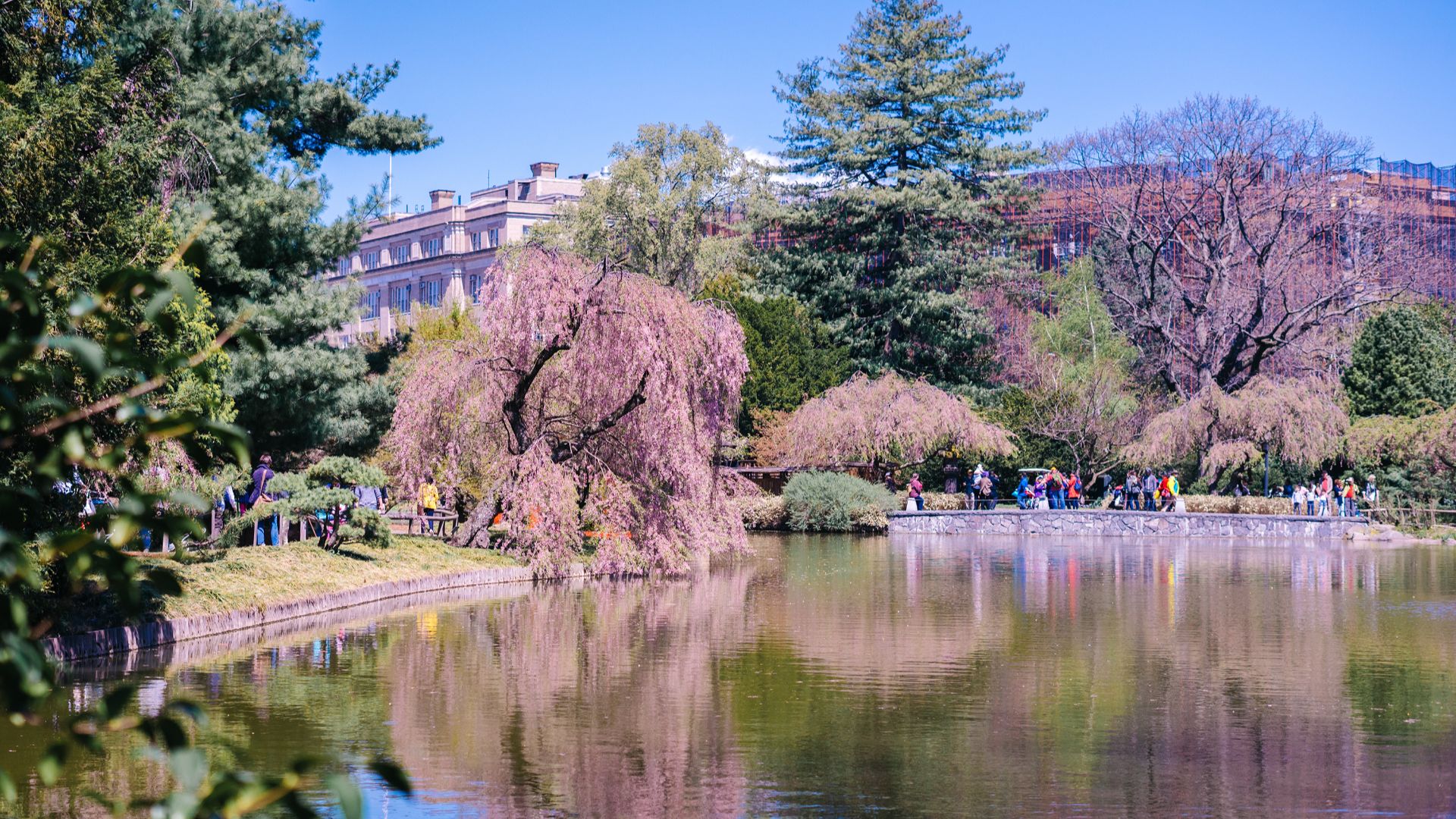 Spring break-header