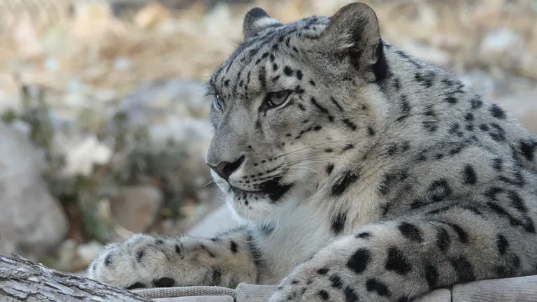 Great Plains Zoo 