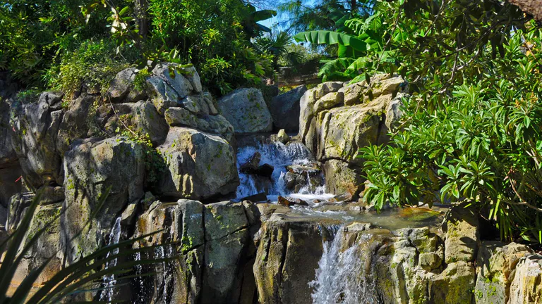 fort worth zoo 