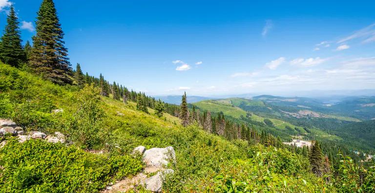 Mountain