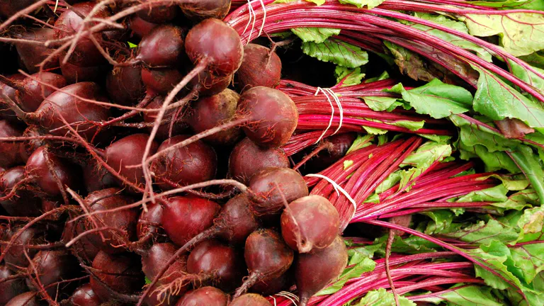 farmers-market