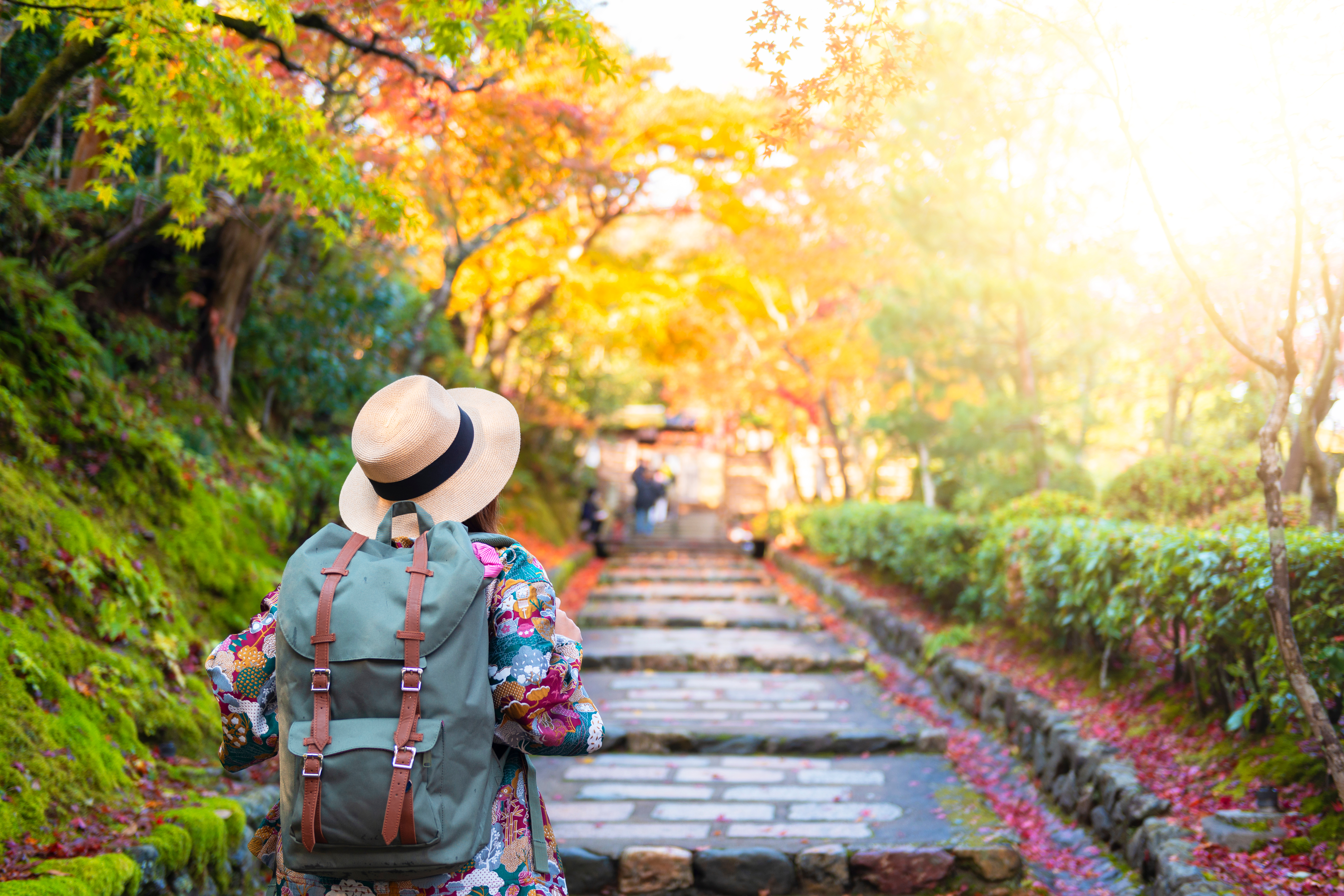 Tourist is traveling and sightseeing in Japan.
