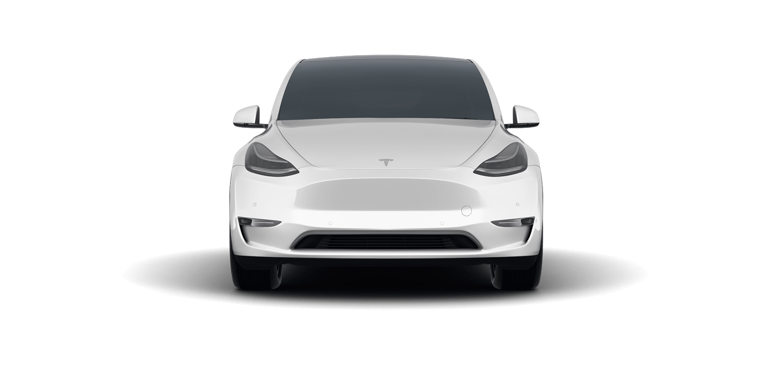 The Model Y