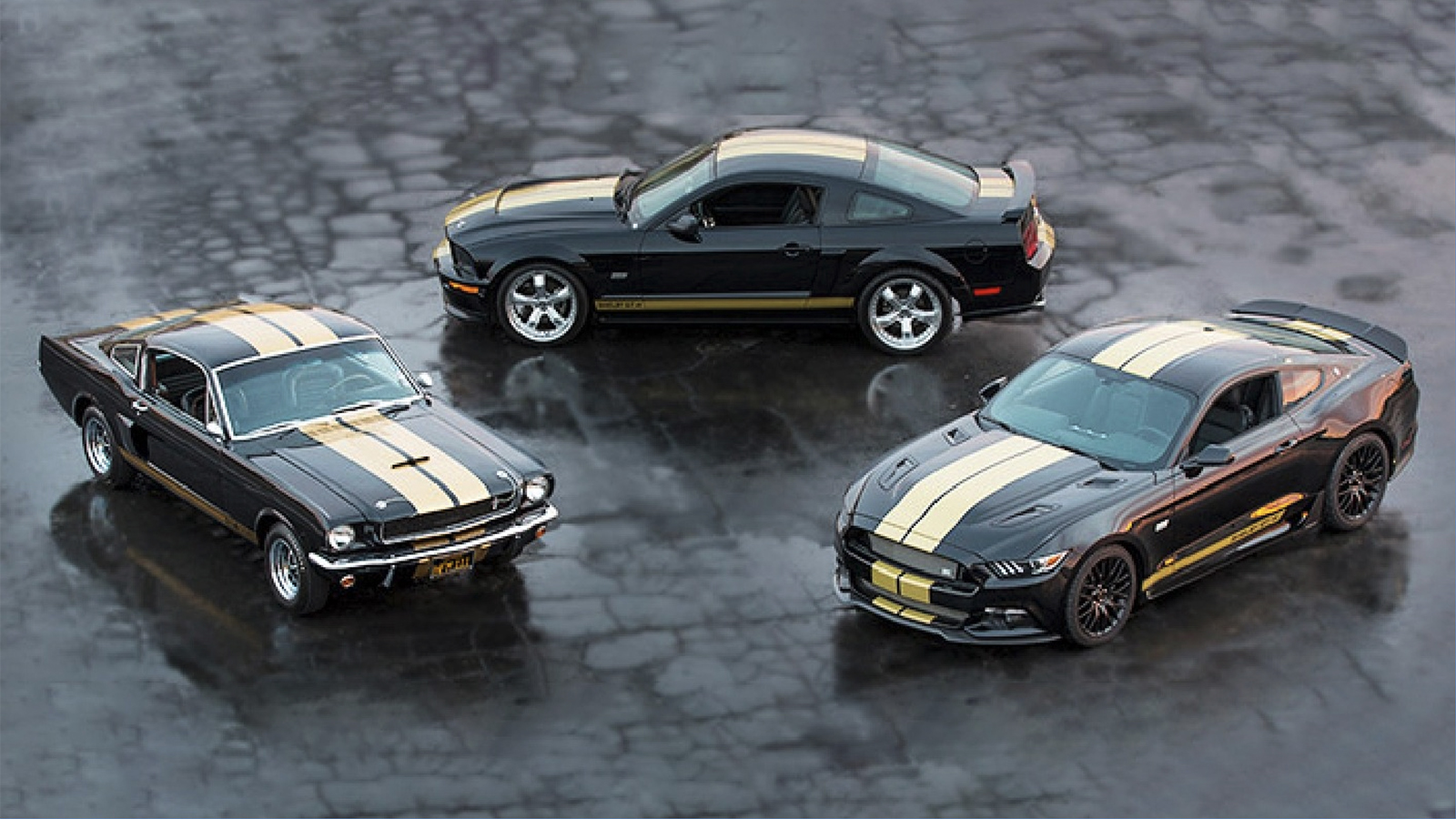 Hertz x shelby